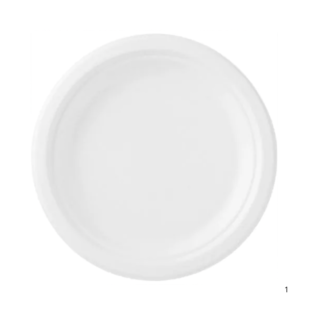 Suikerriet, Bagasse bord 22 cm wit – Duurzaam composteerbaar dinerbord - 100 stuks