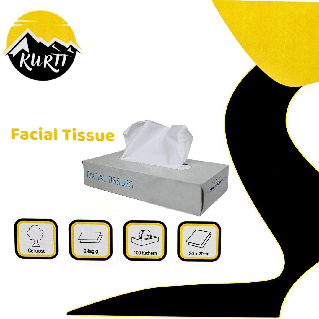 1000 mouchoirs en papier double épaisseur (10 x 100), 20 x 20 cm, certifiés FSC et Ecolabel - lingettes nettoyantes en cellulose