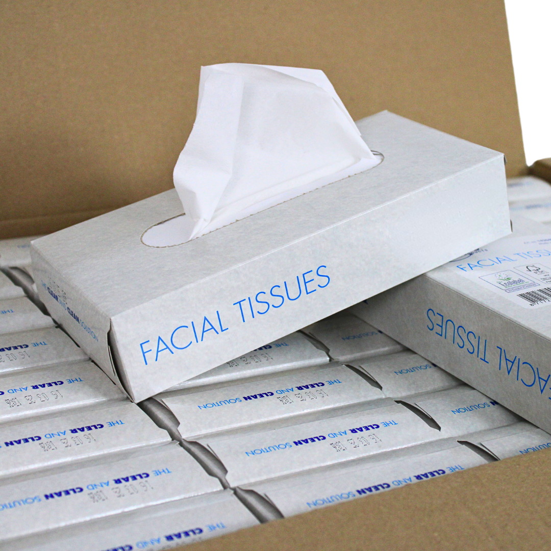 4000 Zakdoekjes, 2-laags, 20x20 cm Voordeelverpakking, (40 x 100) papieren zakdoekjes, fsc en ecolabel - reinigingsdoekjes