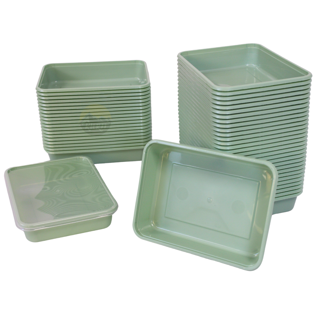 Magnetronbakjes met deksels Groen 500ML - 100 stuks