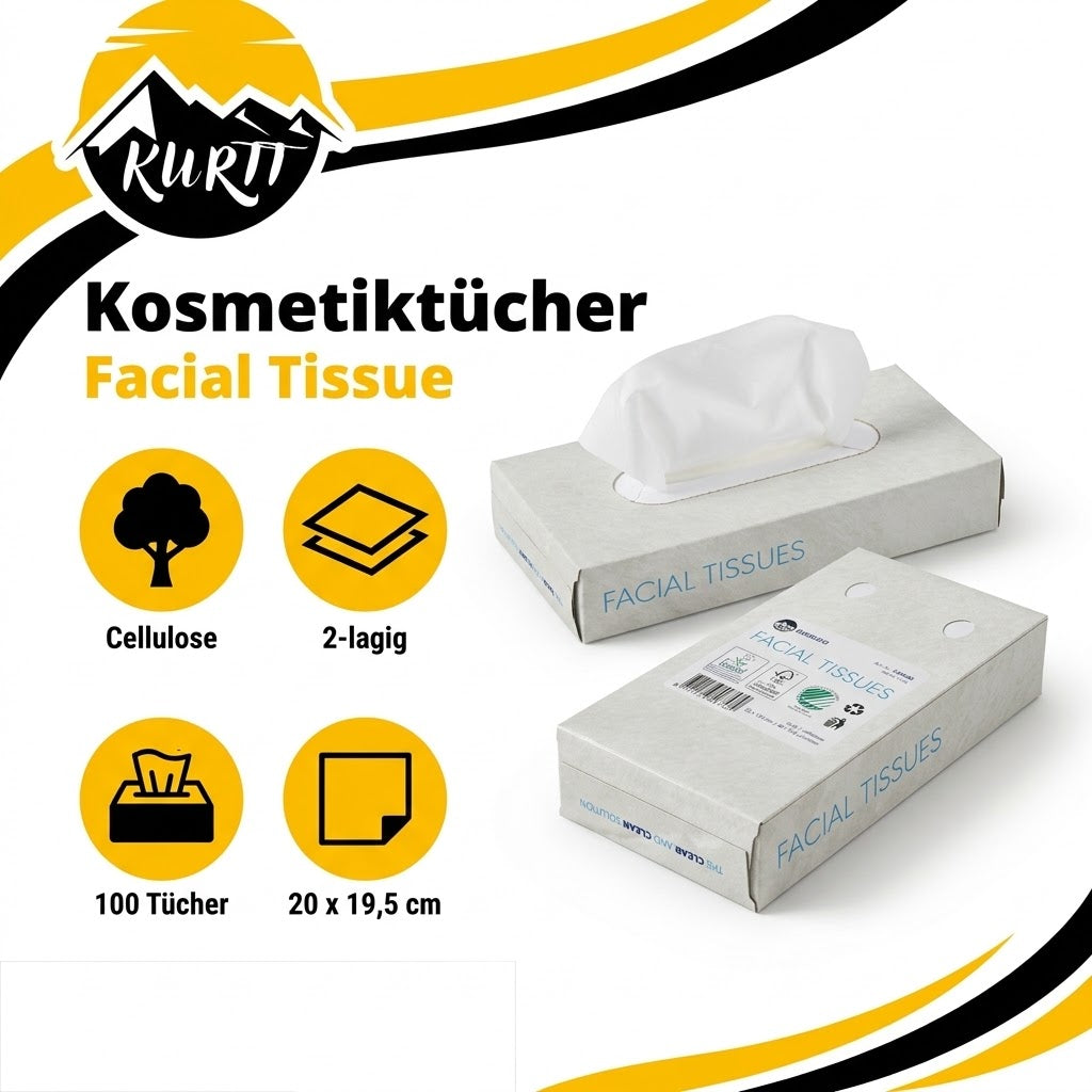 4000x Zakdoekjes, 2-laags, 20x20 cm Voordeelverpakking, (40 x 100) papieren zakdoekjes, fsc en ecolabel - reinigingsdoekjes