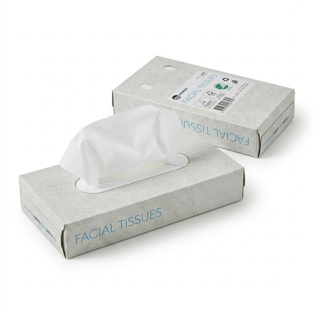 4000x Zakdoekjes, 2-laags, 20x20 cm Voordeelverpakking, (40 x 100) papieren zakdoekjes, fsc en ecolabel - reinigingsdoekjes