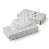 4000x Zakdoekjes, 2-laags, 20x20 cm Voordeelverpakking, (40 x 100) papieren zakdoekjes, fsc en ecolabel - reinigingsdoekjes