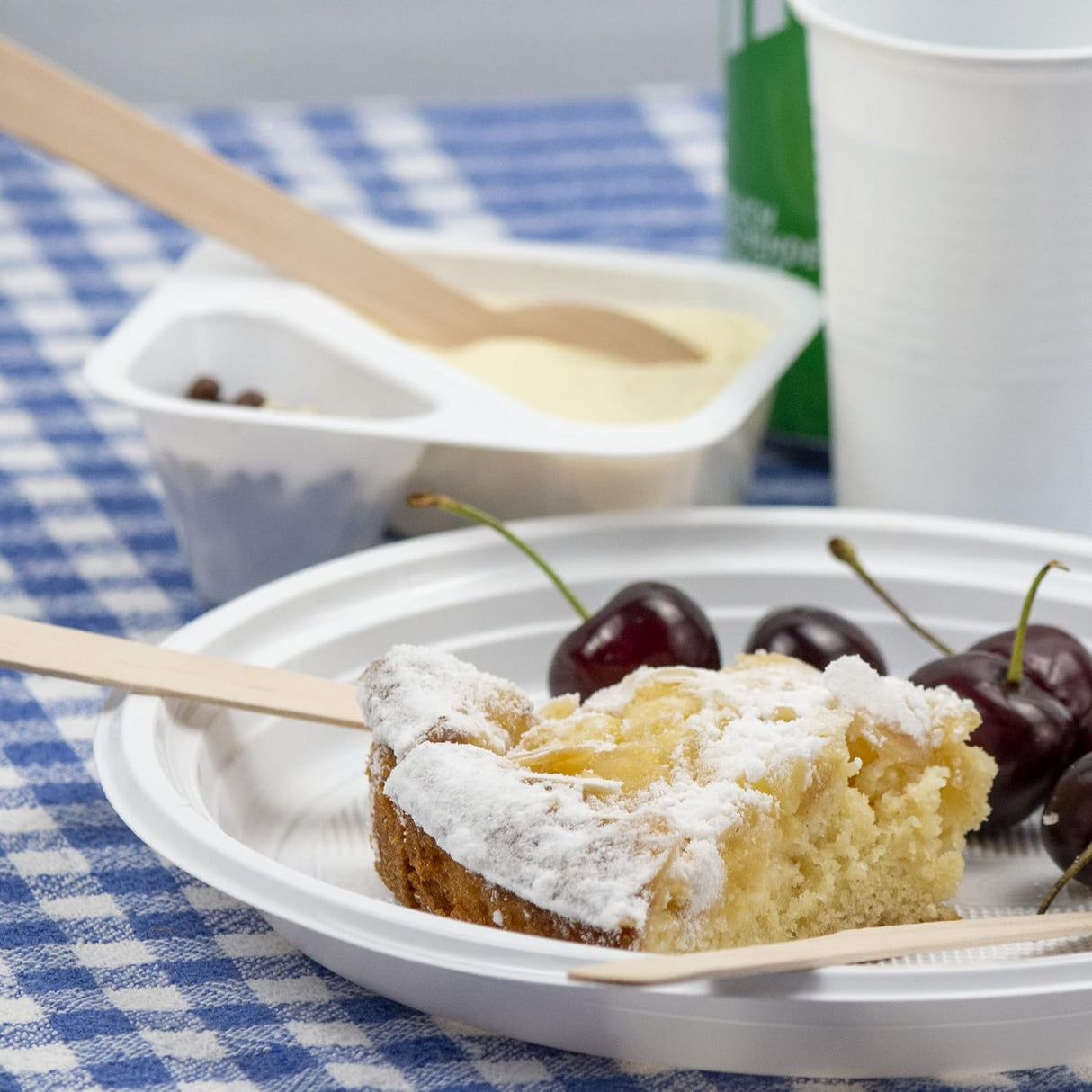 100x stevige Plastic Borden Ø 22cm, onverdeeld, herbruikbare borden Vaatwasmachinebestendig, wegwerp borden, Horeca-geschikt